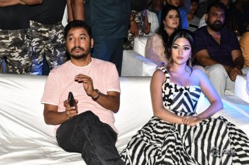 Naa Peru Surya Naa Illu India Pre Release Event Photos